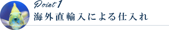 海外直輸入による仕入れ