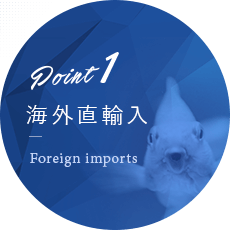 point01 海外直輸入　Foreign imports